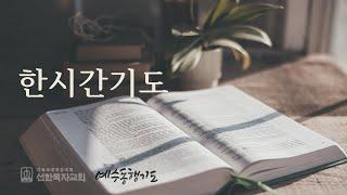 [한시간기도] 12월 19일 목요일 마태복음 21장