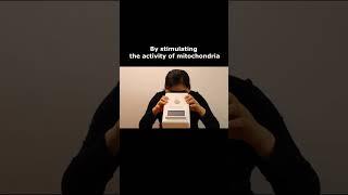 natural remedy to recover the optic nerve function - Supporting mitochondrial health