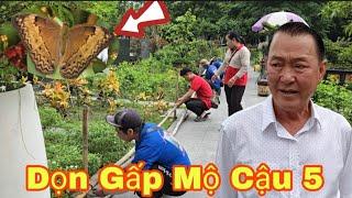 Nóng BQL hoa viên, Cho lịnh Tháo Dọn Dẹp Sáng Nay Tại Mộ NSƯT Vũ Linh Và...