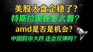 （2025.1.4）美股大盘企稳了？特斯拉现在怎么看？amd是否是机会？中国股市大跌 还会反弹吗？————每周必看的周末回顾