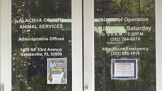 Alachua County officials address concerns about cats at Alachua County Animal Services