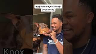 Easy challenge  who won?  #fyp #suavexavier #Knox #reposttiktok