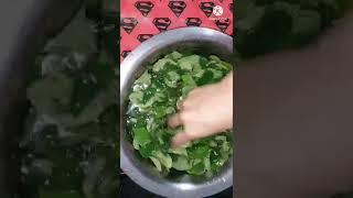 How to store curry leaves for long time #curryleaves #storecurryleaves #shorts #shortvideo