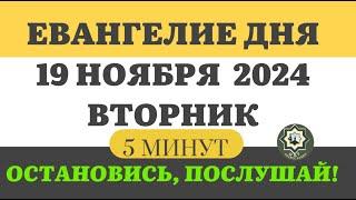 19 НОЯБРЯ ВТОРНИК    ЕВАНГЕЛИЕ ДНЯ 5 МИНУТ АПОСТОЛ МОЛИТВЫ 2024 #мирправославия