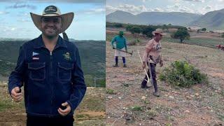 Junior Vianna - Fim de Tarde Na Fazenda