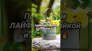 Лейка сломалась? Не беда! Гениальный лайфхак за 30 секунд