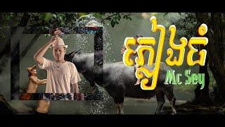 MC Sey - Big Rain "ភ្លៀងធំ" (Official Lyrics Video)