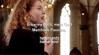 Erbarme Dich - Matthäus Passion, JS Bach - Nederlands Kamerkoor