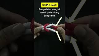 Simpul Mati Cara Membuat dan Kegunaanya #simpulmati #simpulpramuka  #talitemali