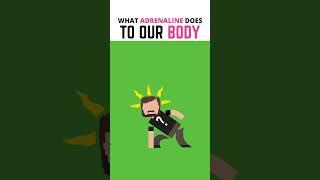 What Does Adrenaline Do To Your Body? #shorts #education