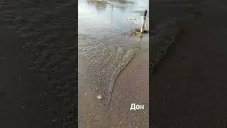 #весна #природа #россия #воронеж