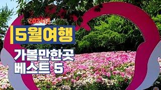 국내여행/가장 좋아하는 봄꽃여행지 추천/봄여행지 베스트/5월에 가볼만한곳