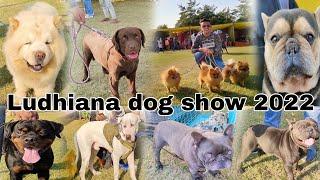 Amazing dog show in Punjab // Beautiful dogs in Ludhiana dog show 2022 part 3 // KCI Dog show 2022