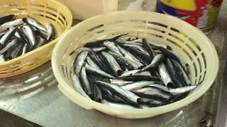 Preparando Anchoa del Cantábrico en Salazón