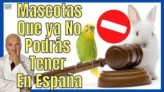 PETS ️ PROHIBITED ️ BY THE NEW ANIMAL PROTECTION AND WELFARE LAW 2022 IN SPAIN