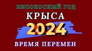 Крыса - Китайский гороскоп 2024 года. Високосный год дракона 2024