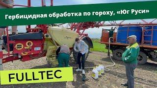 Обработка гороха с препаратом Fulltec 29.04.2022