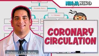 Circulatory System | Coronary Circulation