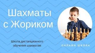 Шахматы с Жориком Онлайн школа обучения шахматам 18+
