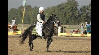 PRINCE OF KOT FATEH KHAN NAWAB MALIK ATTA MUHAMMAD KHAN   NAWAB SAHIB RECEIVE PRIZE AT SHAH JAHANIYA