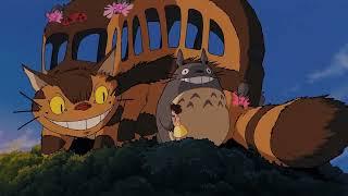 The Cat Bus has balls. (My Neighbor Totoro)