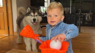 Adorable Baby Boy Plays Ball With His Giant Wolf Husky!! (Cutest Ever!!)