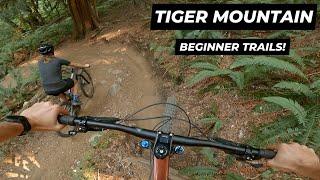 Tiger Mountain - Perfect Beginner MTB Trails