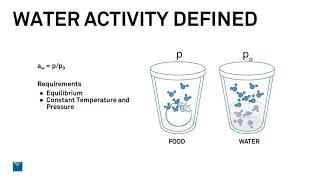 Water Activity 101: Mastering the Basics of Water Activity in Food Safety