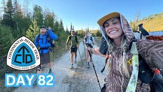 Meet my hiking team! | CDT Day 82