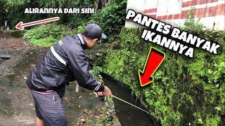 Orang Paling Beruntung‼️ Gak sengaja nemu Selokan Kecil banyak Ikannya...