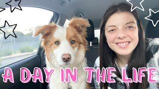 A DAY IN THE LIFE OF AN AUSTRALIAN KINDERGARTEN TEACHER | Teach with Me