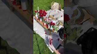 Simple Proposal Idea for Her | Luxury Picnic Setup