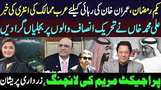 Arab's Step In for Imran Khan's Release, Ali Khan Slams PTI | Project Maryam Shocks Zardari!