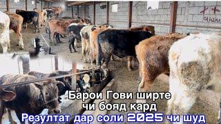 Парвариши Бука Дар соли 2025 резултат чи шуд,  ДЕХКОН БАЧА,     30 января 2025 г.