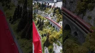 Ein toller Zug in einer schönen Landschaft - Modellbahn H0  #modellbahn #zug #modelleisenbahn