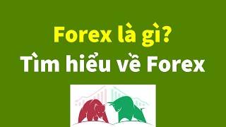 Forex | Forex là gì? Thời điểm và mục đích ra đời của forex -Tìm hiểu cơ bản về Forex | Đầu Tư Forex