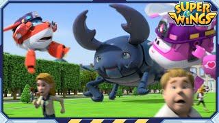 [SUPERWINGS] Superwings3 Full Episodes Live | Super Wings Compilation