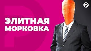 Как заработать на дешевых овощах?