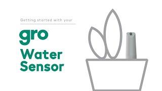 How to Use the Scotts® Gro™ Water Sensor