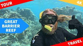 Great Barrier Reef Snorkelling in 4K at Flynn Reef Australia