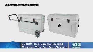 60K Igloo Coolers Recalled Over Concerns They Can Trap, Suffocate Kids