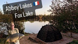 Abbey Lakes  - Fox Lake - Carp Fishing in France