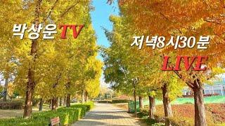 박상운TV라이브2024년 11월 28일  #사랑의시 #사랑의의지 #사랑이지나가면