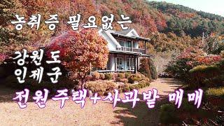 강원 인제 가장 살기좋은 도수암계곡 소치마을 전원주택 사과밭 매매