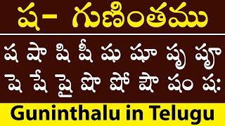 ష - గుణింతము | Sha Gunitham | how to write telugu Sha Guninthalu | Guninthalu in Telugu