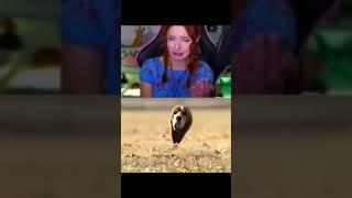 ставьте лайк,если тоже пустили слезу #yumiliya #юмилия https://www.twitch.tv/yumiliya_nya