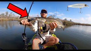 This is WHY I Fish a Hobie Outback Kayak