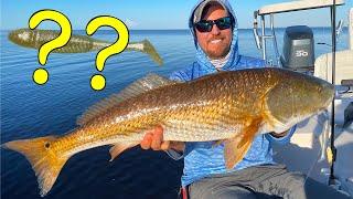 SLAM SHADY: Best Redfish Lure Ever or Dud?