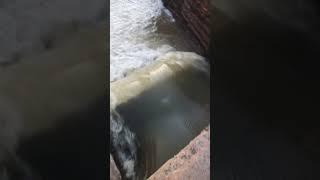 حماة يا حماة يا أحلى بلد 