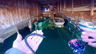 Fishing in a garage, unexpected fish !!!